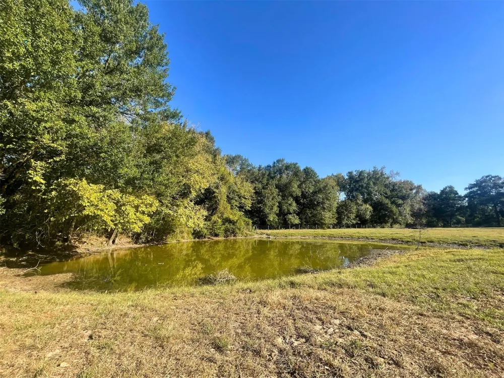 6014 Cr 333 Caldwell, TX 77836