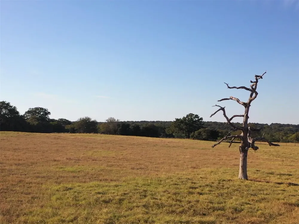 6014 Cr 333 Caldwell, TX 77836