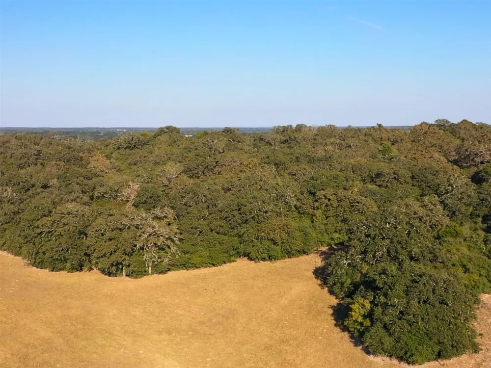 6014 Cr 333 Caldwell, TX 77836