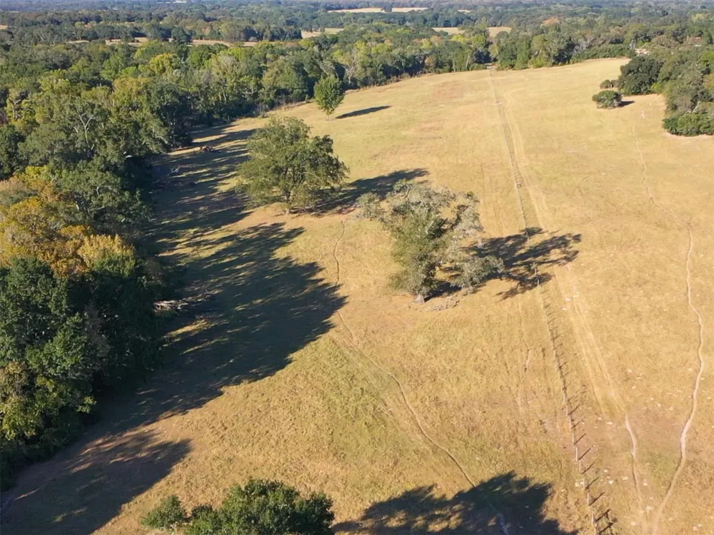 6014 Cr 333 Caldwell, TX 77836