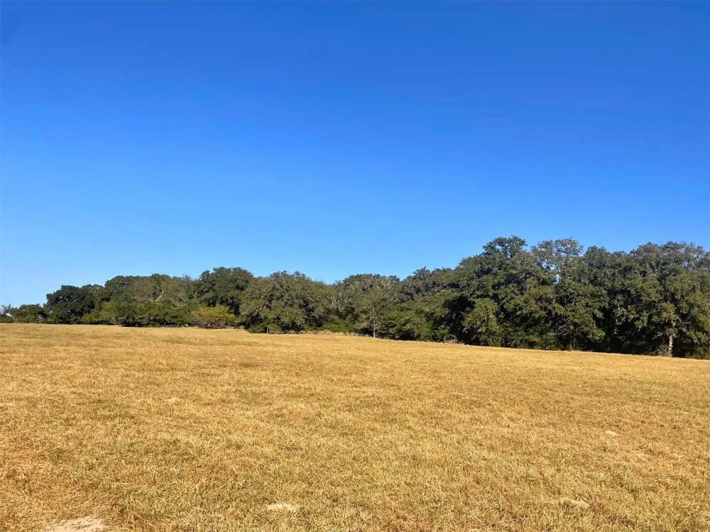 6014 Cr 333 Caldwell, TX 77836