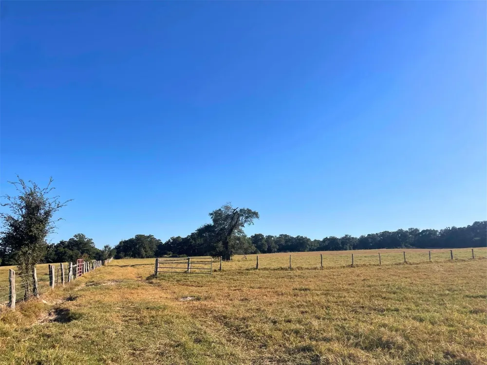 6014 Cr 333 Caldwell, TX 77836