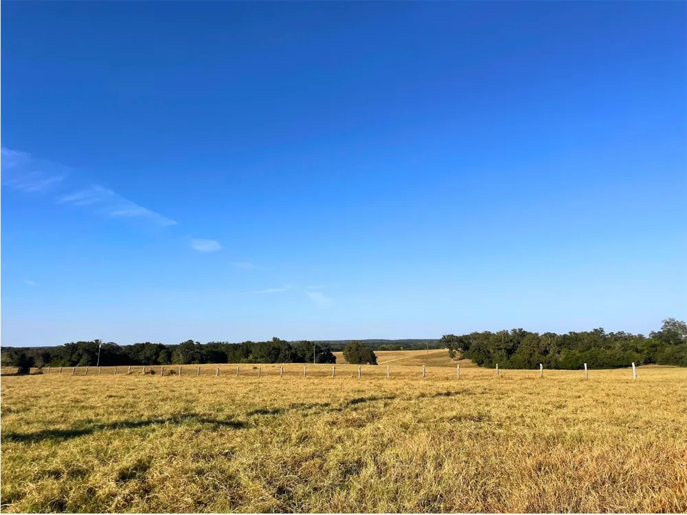 6014 Cr 333 Caldwell, TX 77836