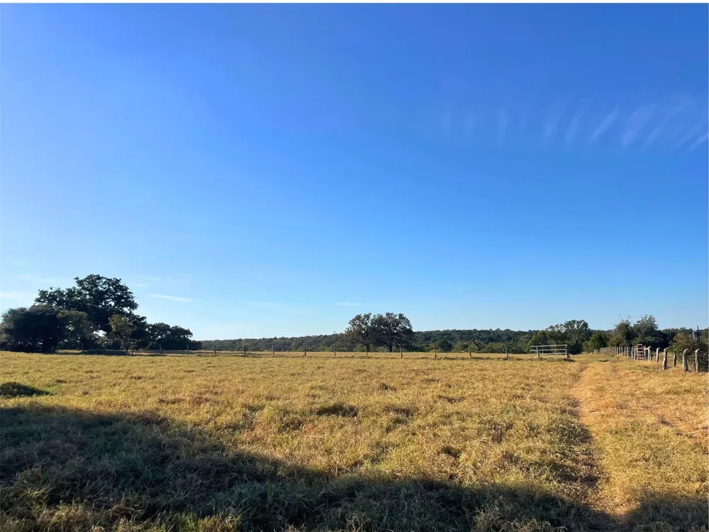 6014 Cr 333 Caldwell, TX 77836