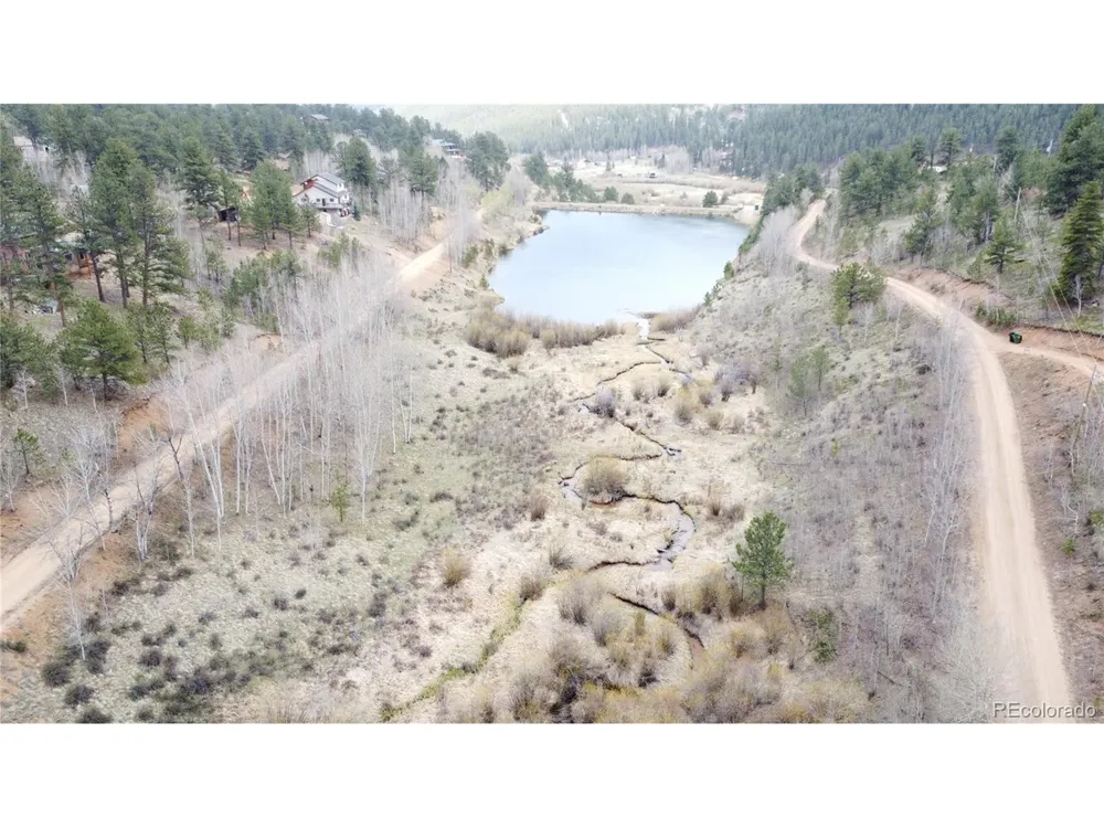 381 Neish Street Bailey, CO 80421