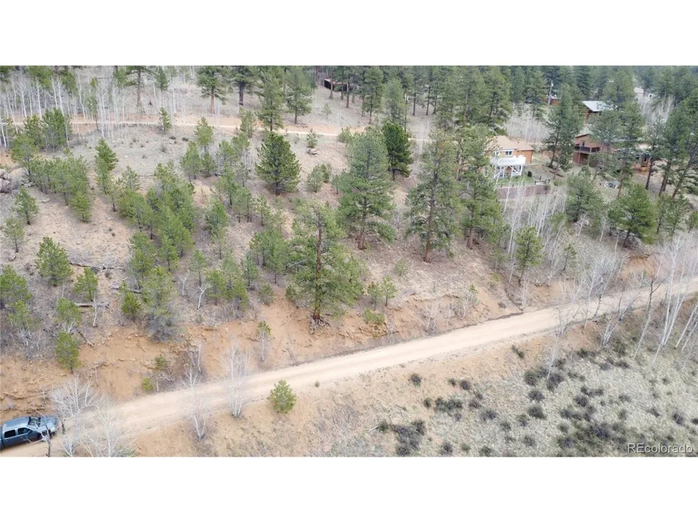 381 Neish Street Bailey, CO 80421