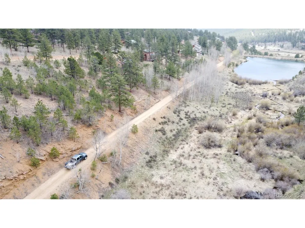 381 Neish Street Bailey, CO 80421
