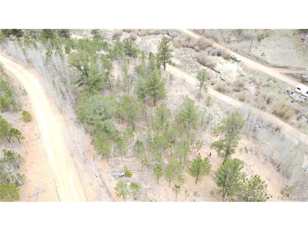 397 Neish Street Bailey, CO 80421