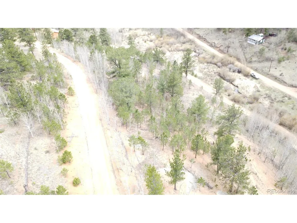 397 Neish Street Bailey, CO 80421