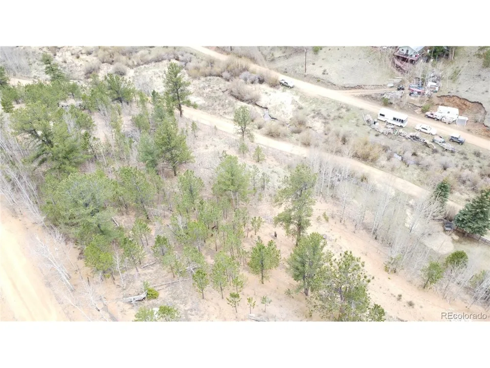 397 Neish Street Bailey, CO 80421