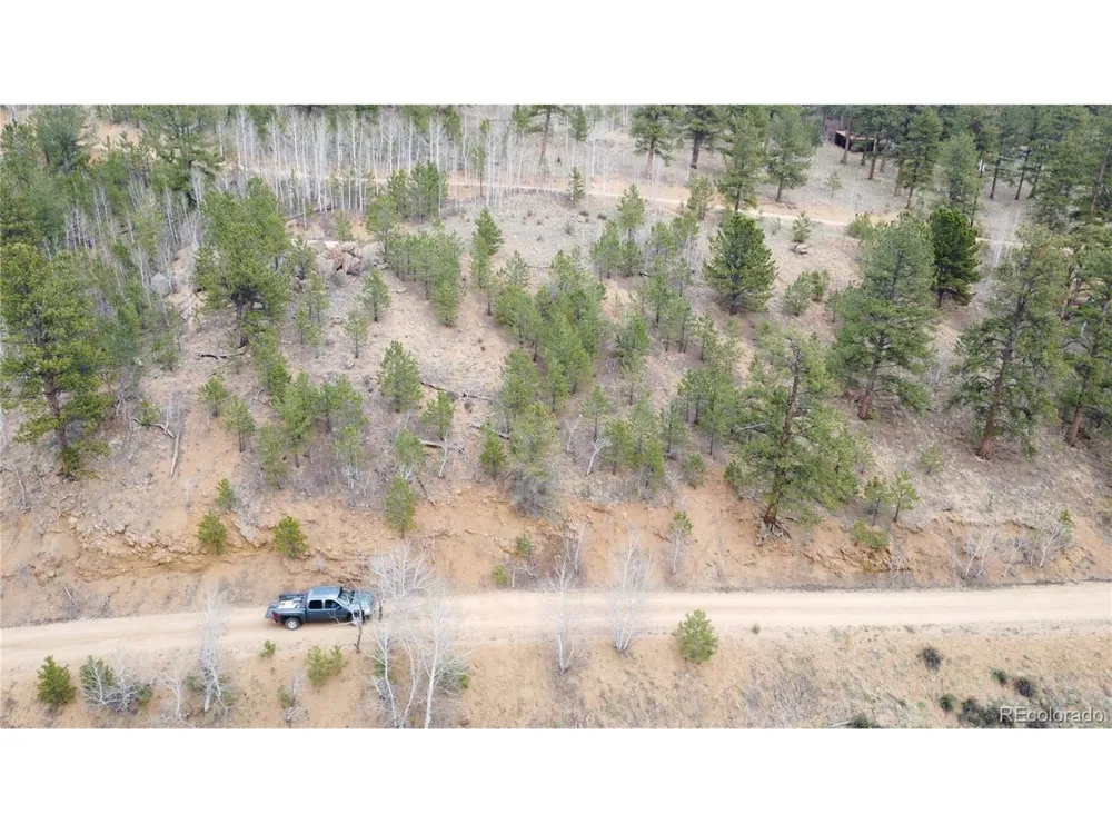 367 Neish Street Bailey, CO 80421
