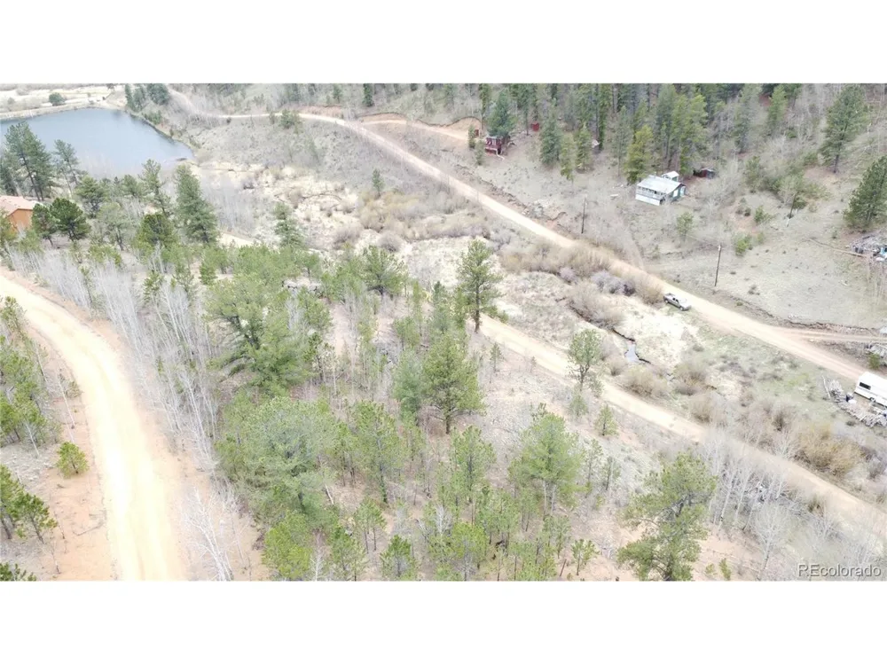 312 Marian Street Bailey, CO 80421