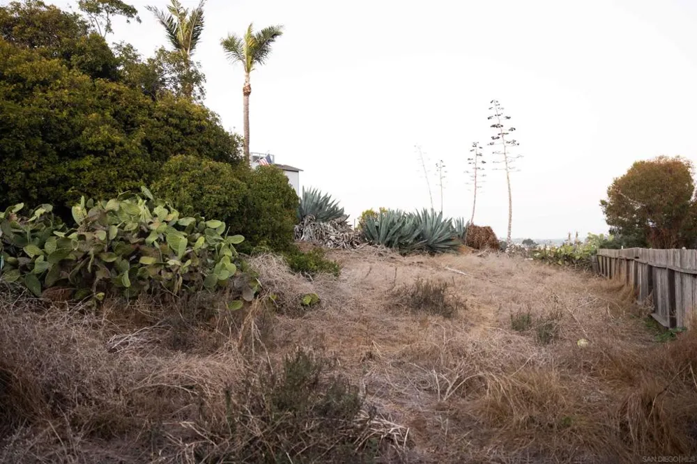Clementine St Oceanside, CA 92054