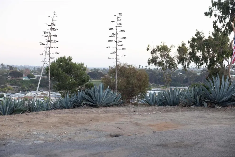 Clementine St Oceanside, CA 92054