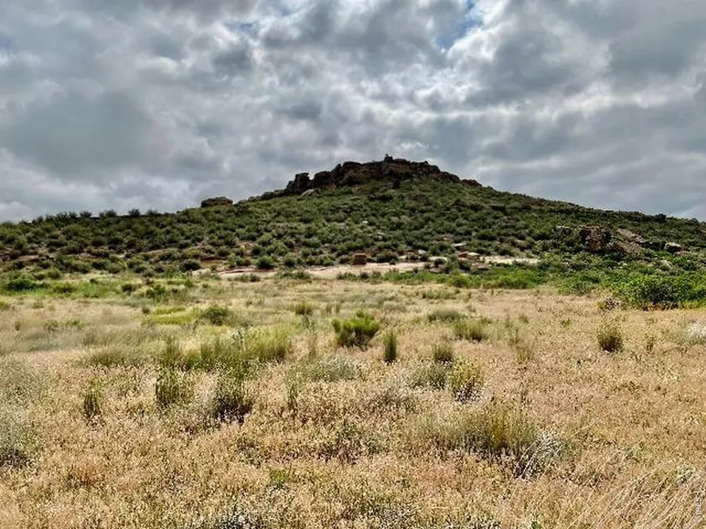4318 Green Mile Drive Laporte, CO 80535