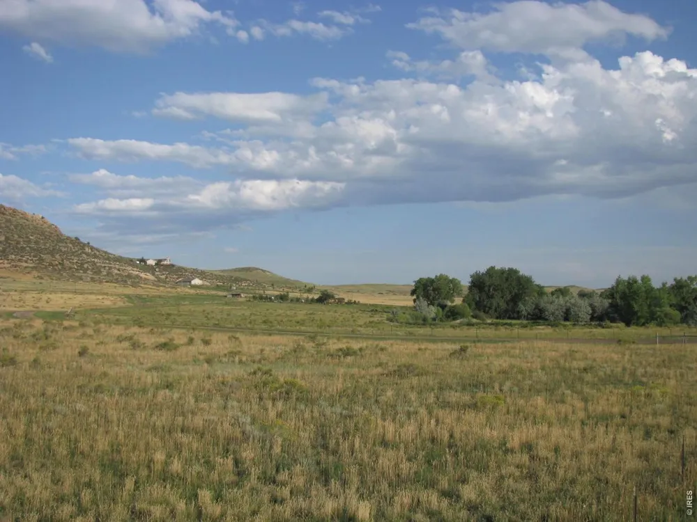 4318 Green Mile Drive Laporte, CO 80535