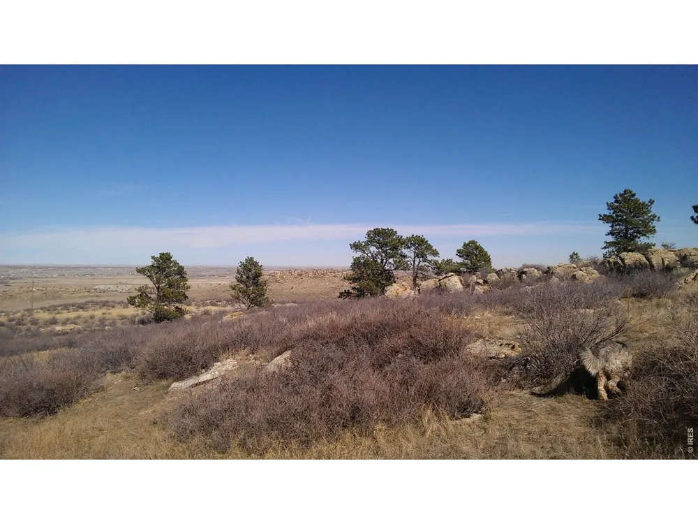 4318 Green Mile Drive Laporte, CO 80535