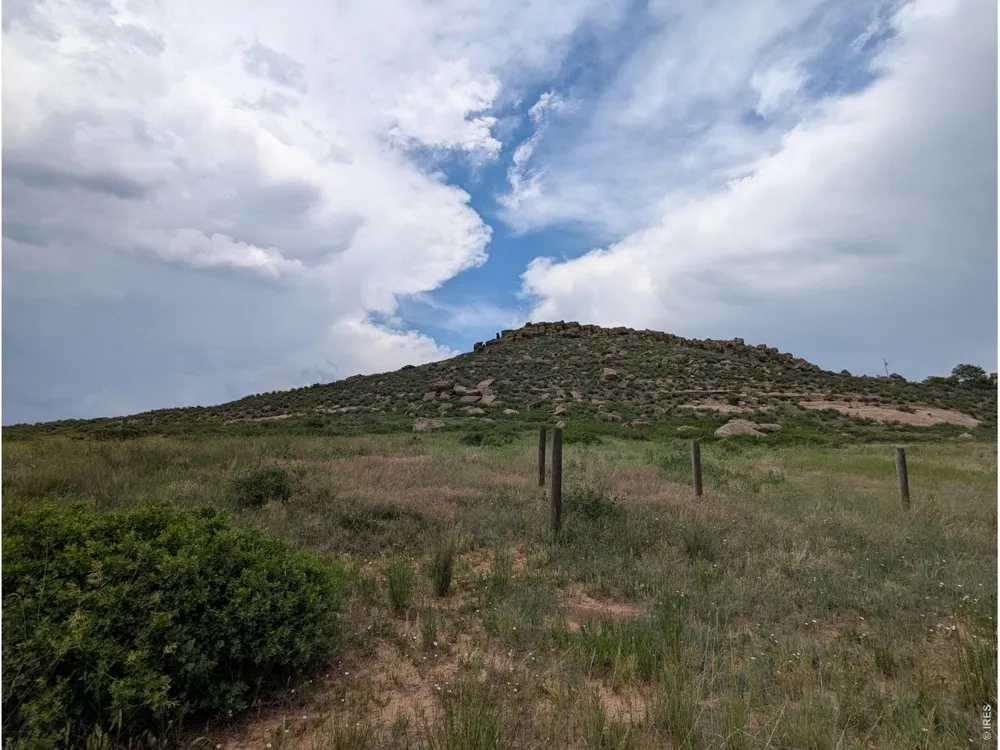 4318 Green Mile Drive Laporte, CO 80535