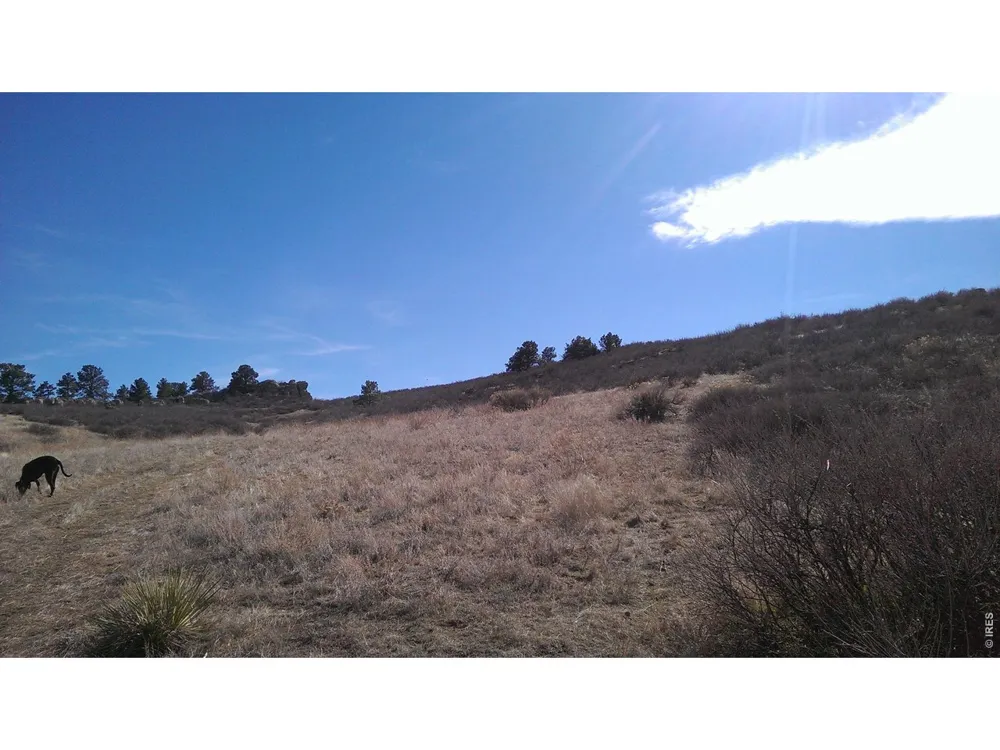 4318 Green Mile Drive Laporte, CO 80535