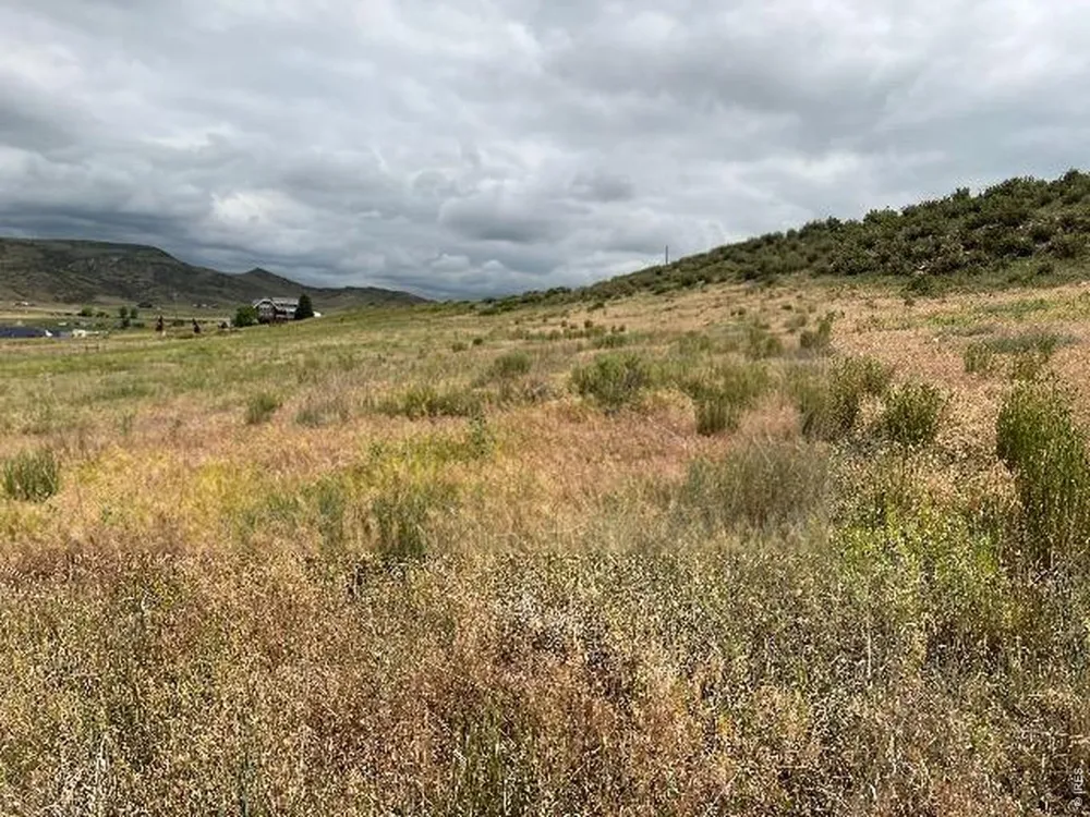 4318 Green Mile Drive Laporte, CO 80535