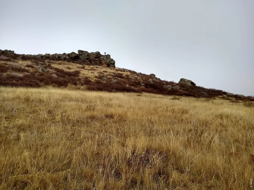 4318 Green Mile Drive Laporte, CO 80535