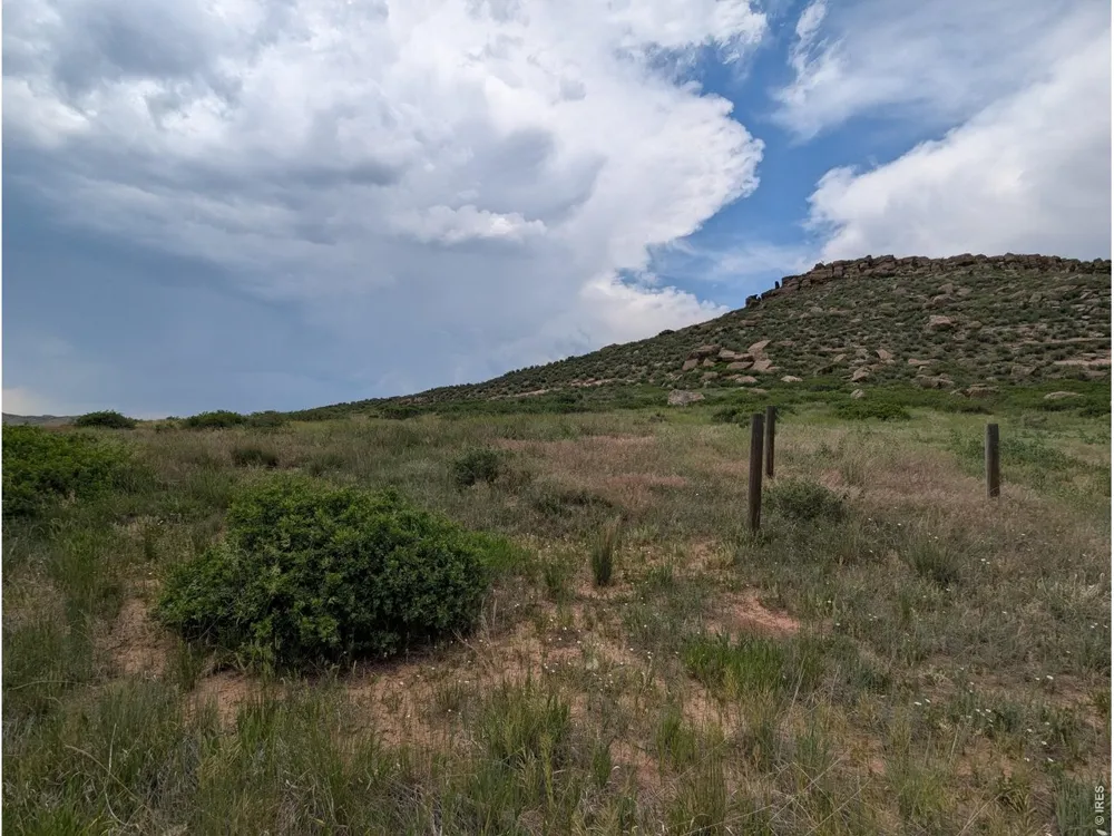4318 Green Mile Drive Laporte, CO 80535