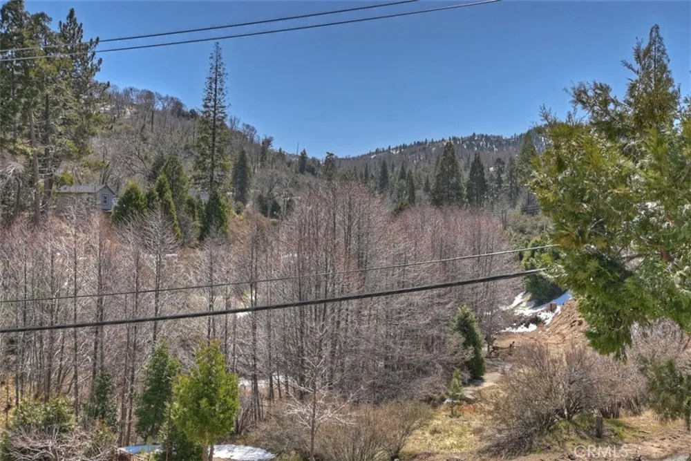 29632 Hook Creek Road Cedar Glen, CA 92321