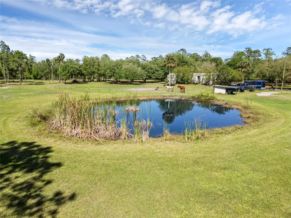 2321 WACCASSA STREET Geneva, FL 32732