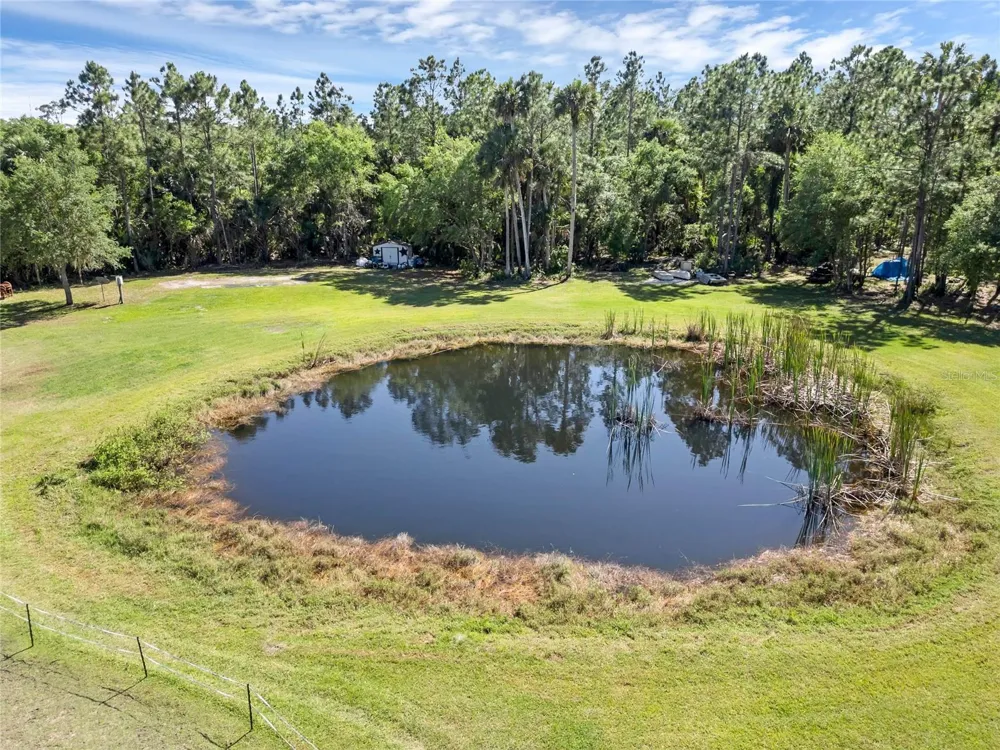 2321 WACCASSA STREET Geneva, FL 32732