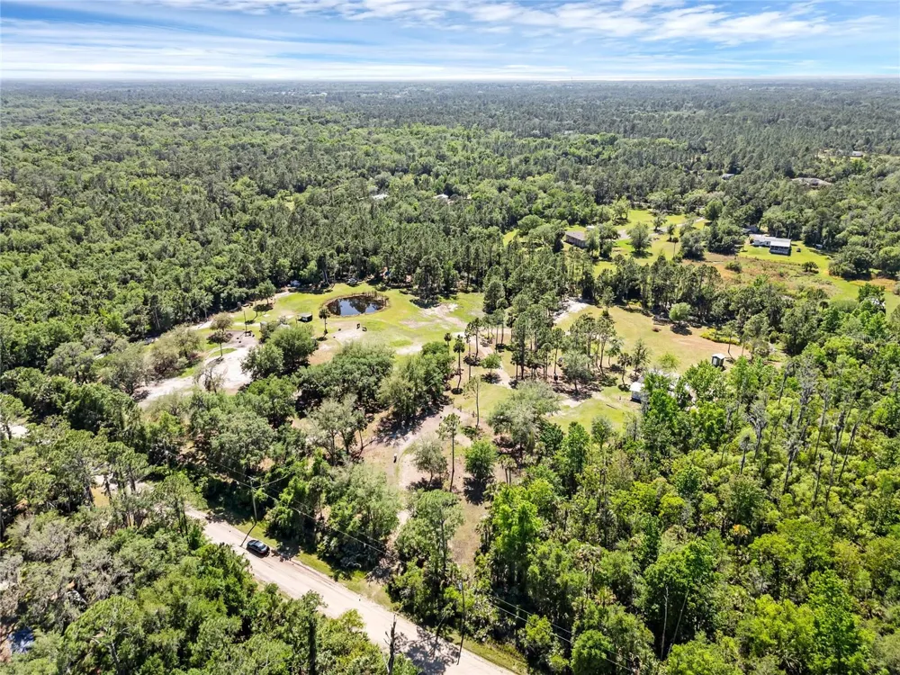 2321 WACCASSA STREET Geneva, FL 32732