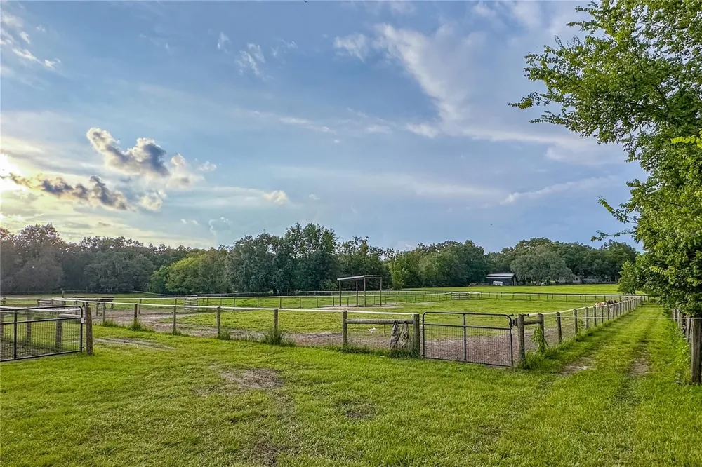 16242 NW 130TH STREET Williston, FL 32696