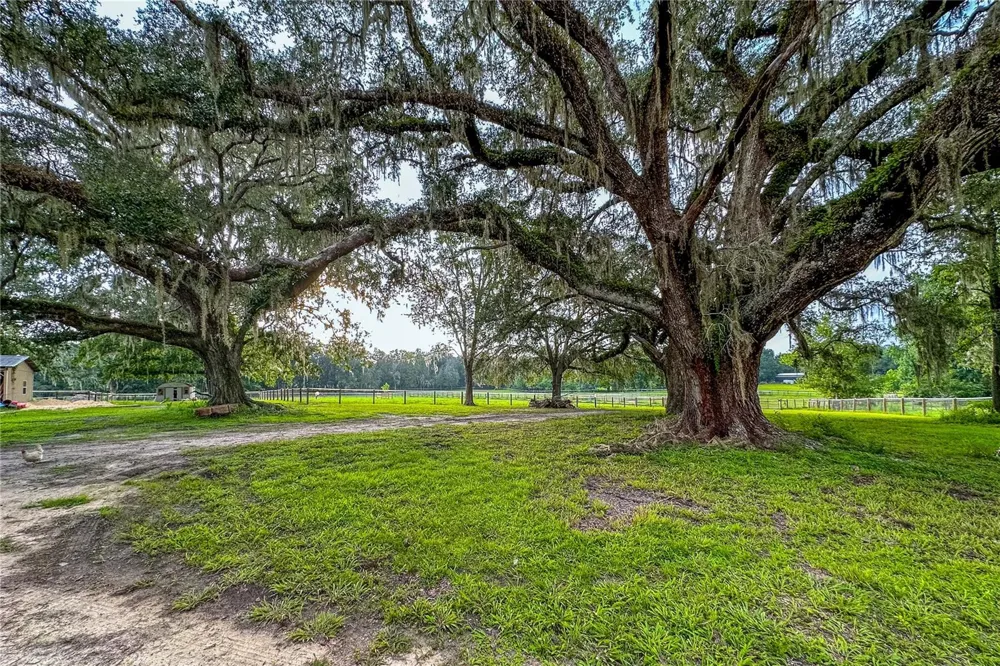 16242 NW 130TH STREET Williston, FL 32696