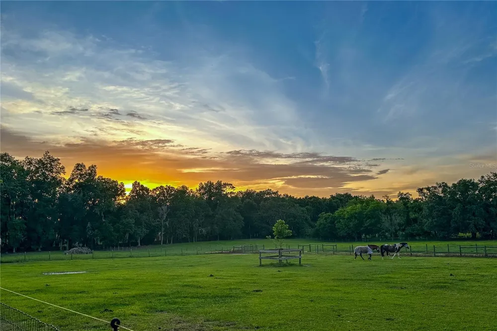 16242 NW 130TH STREET Williston, FL 32696