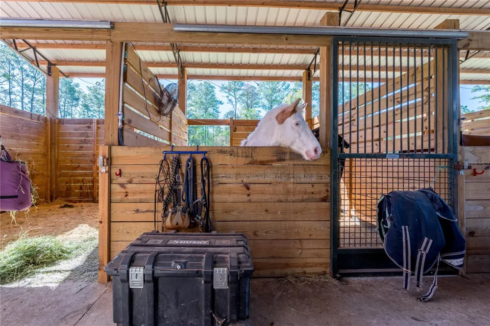 16242 NW 130TH STREET Williston, FL 32696