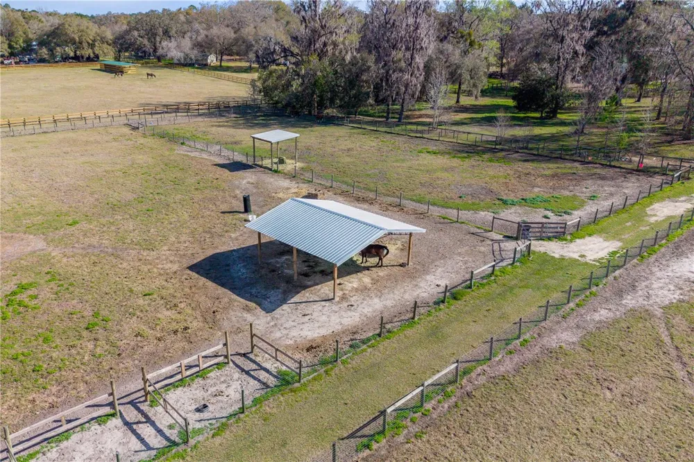 16242 NW 130TH STREET Williston, FL 32696
