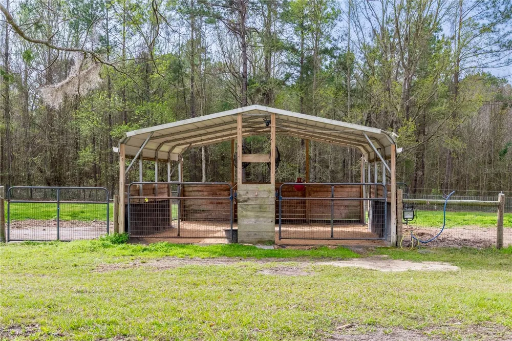 16242 NW 130TH STREET Williston, FL 32696