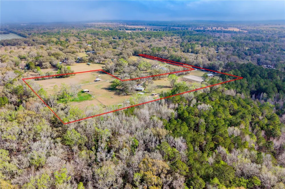 16242 NW 130TH STREET Williston, FL 32696