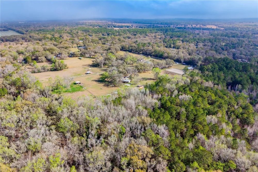 16242 NW 130TH STREET Williston, FL 32696