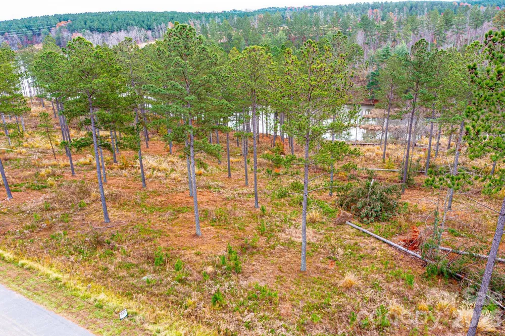 2188 Snowmass Drive Connelly Springs, NC 28612