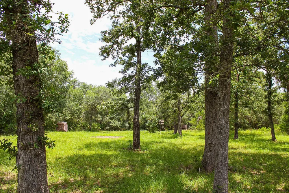 1076 W Branding Iron Weimar, TX 78962
