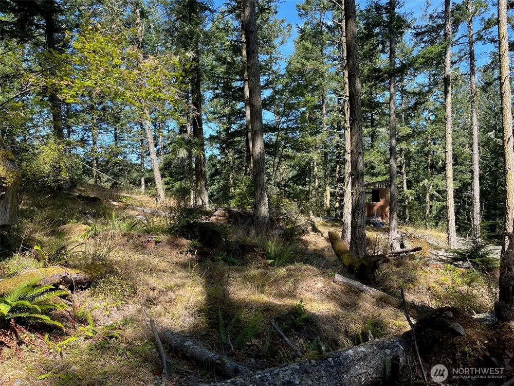 1407 Obstruction Pass Road Orcas Island, WA 98245