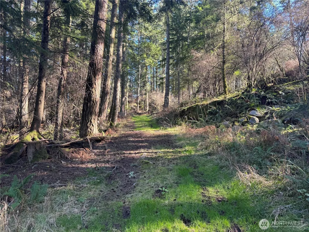 1407 Obstruction Pass Road Orcas Island, WA 98245