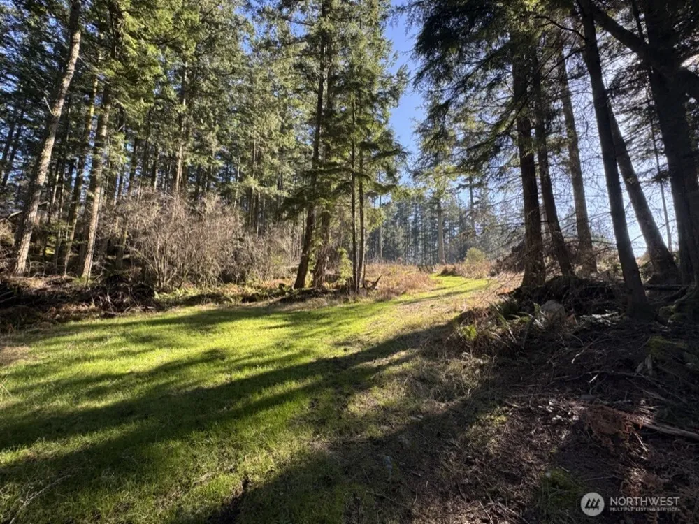 1407 Obstruction Pass Road Orcas Island, WA 98245