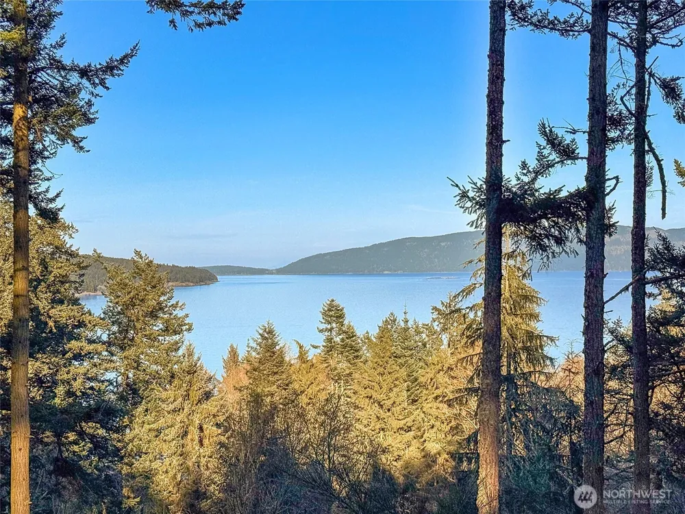 1407 Obstruction Pass Road Orcas Island, WA 98245