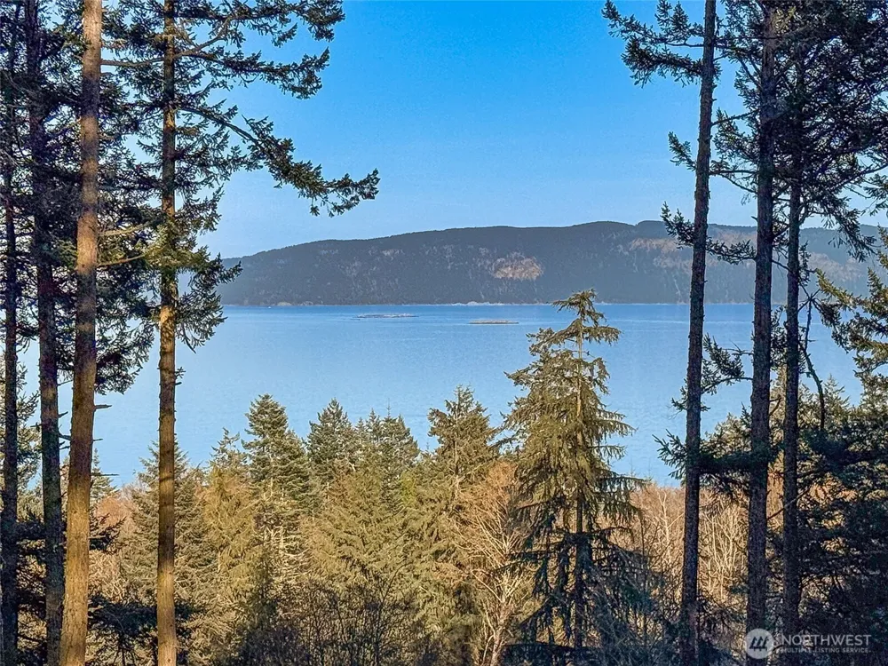 1407 Obstruction Pass Road Orcas Island, WA 98245