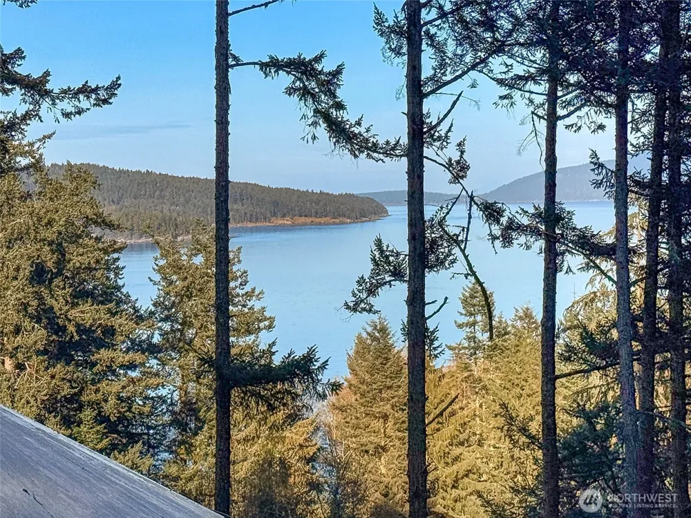 1407 Obstruction Pass Road Orcas Island, WA 98245