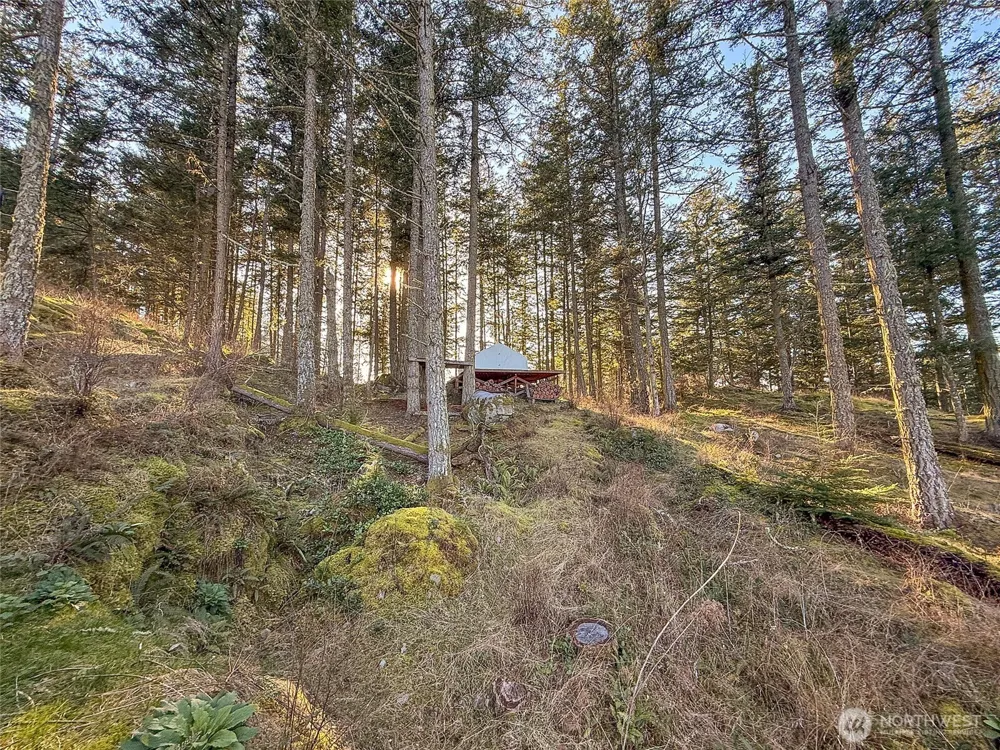 1407 Obstruction Pass Road Orcas Island, WA 98245