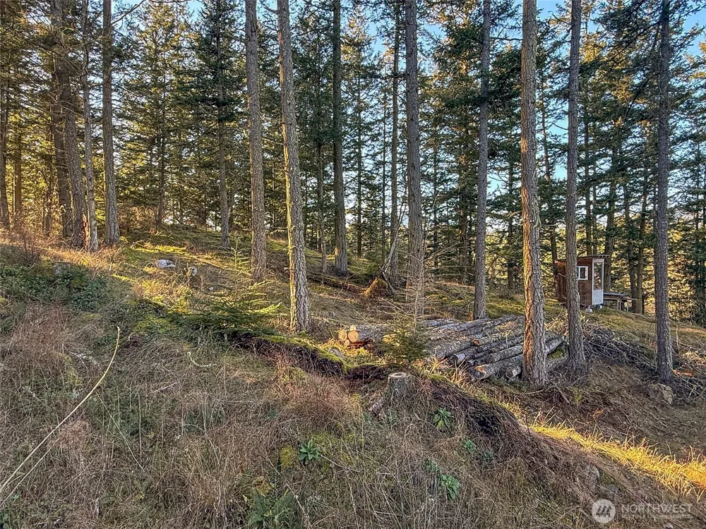 1407 Obstruction Pass Road Orcas Island, WA 98245
