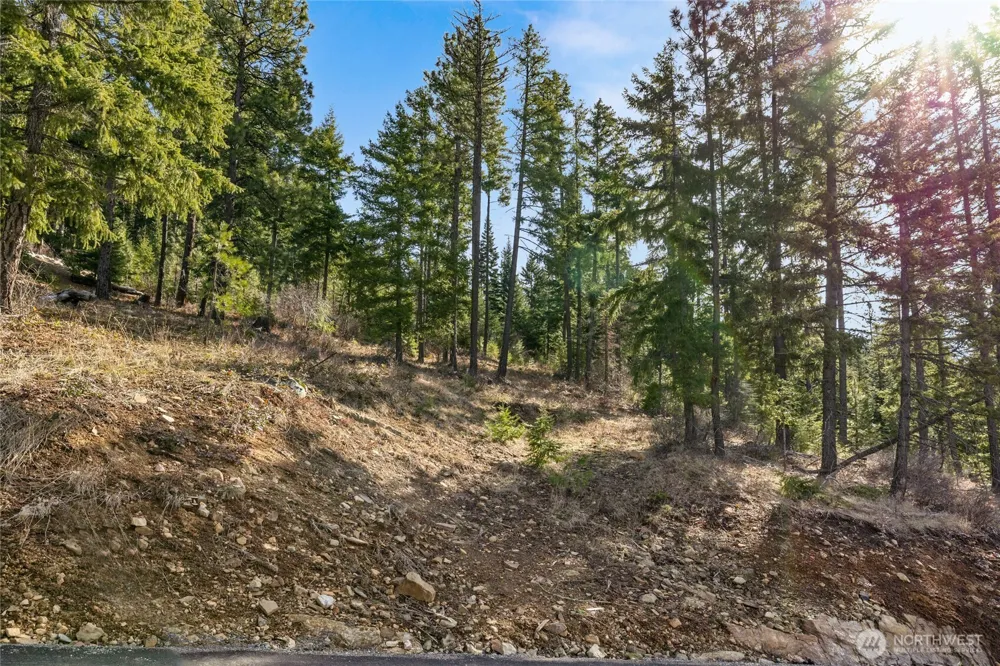 0 Lot 9 Night Sky Drive Ronald, WA 98940