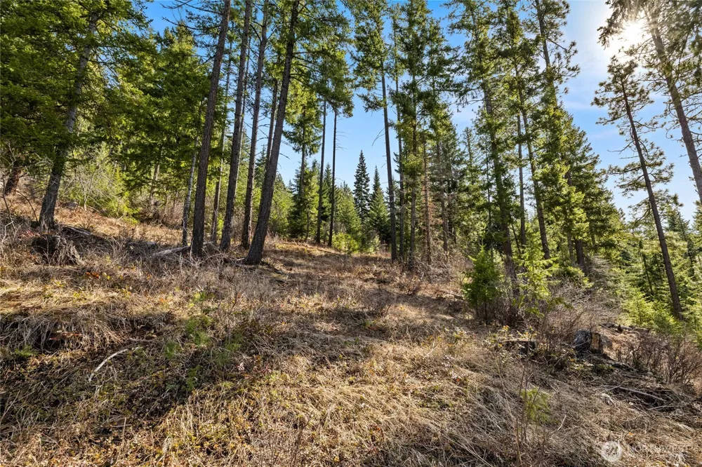 0 Lot 9 Night Sky Drive Ronald, WA 98940